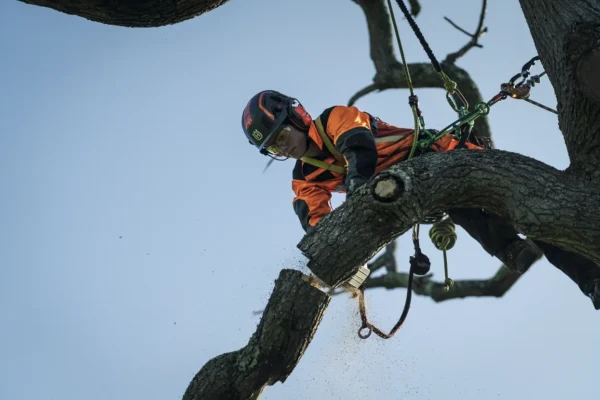 Husqvarna T540i XP 14" Cordless Top-Handle Chainsaw - Image 2