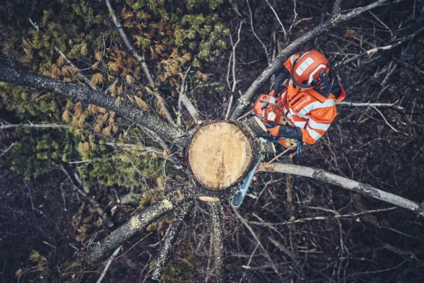 Husqvarna 562 XPG Professional Petrol Chainsaws - Image 3