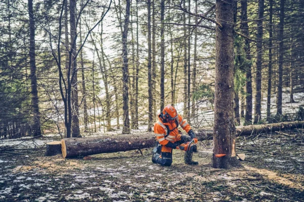 Husqvarna 562 XPG Professional Petrol Chainsaws - Image 5