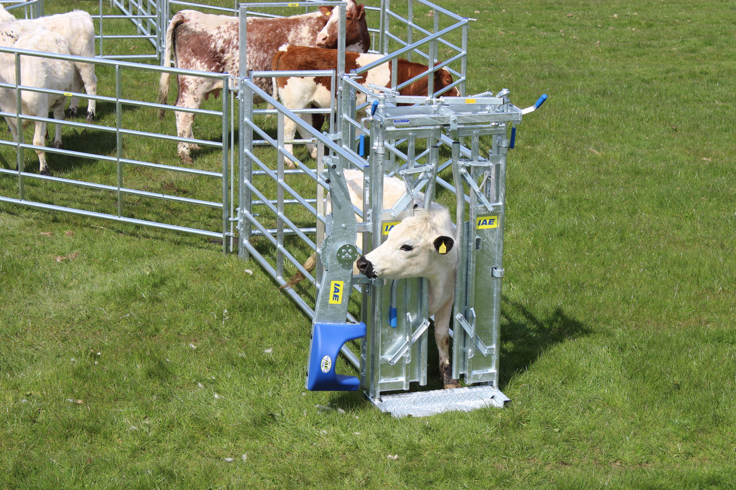 IAE Saracen Yoke Gate In Frame - Image 4