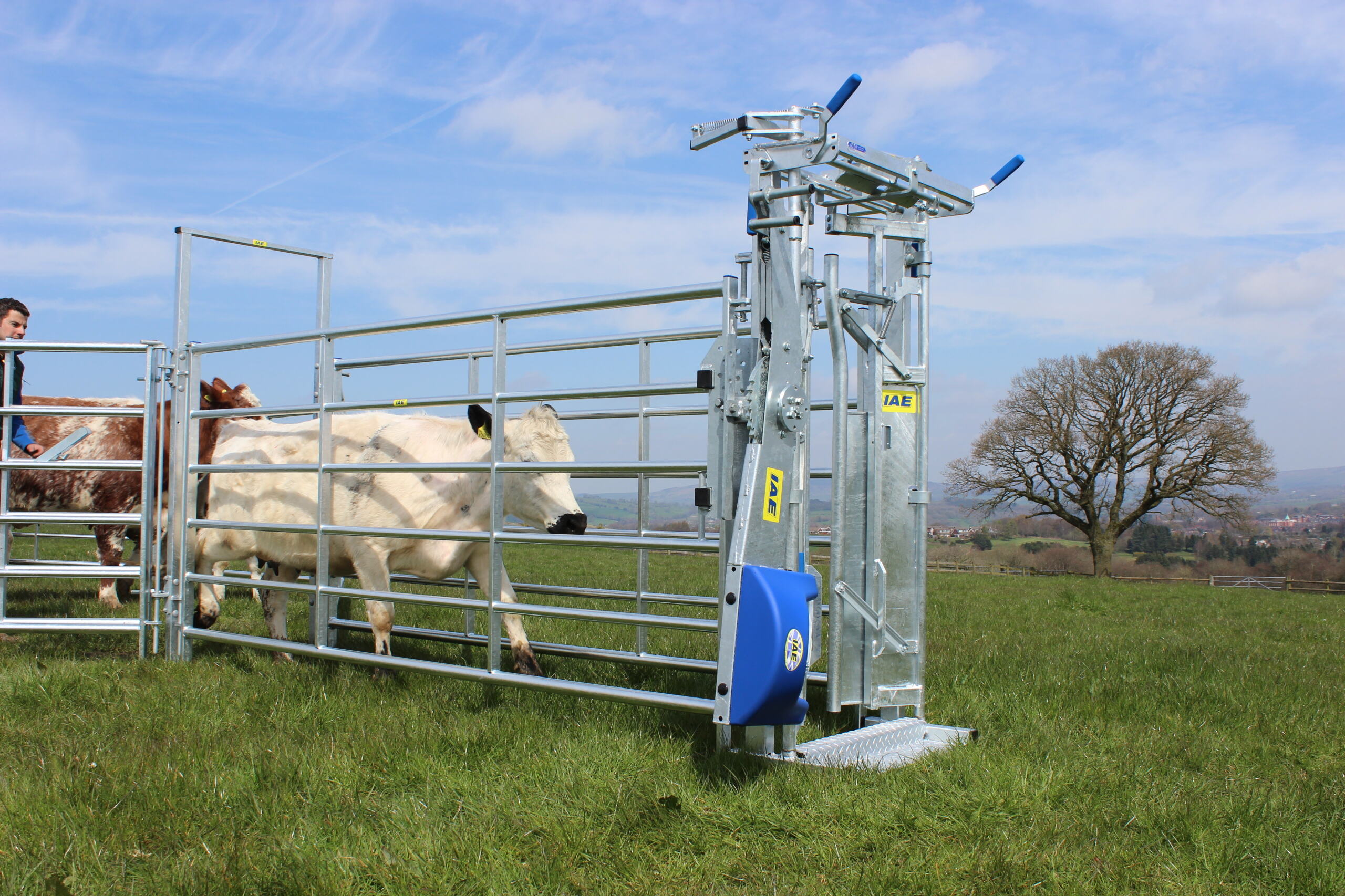 IAE Saracen Yoke Gate In Frame - Image 3