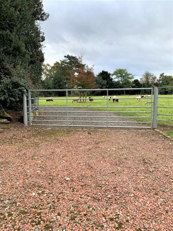 IAE - Ashbourne Field Gate - Image 4