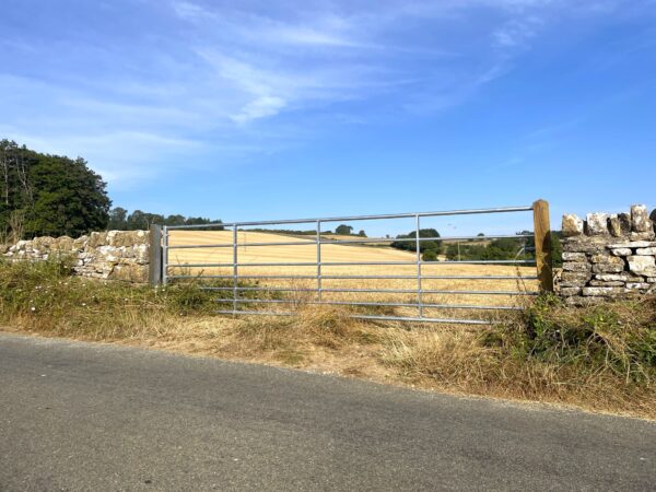 IAE - Ashbourne Field Gate - Image 5