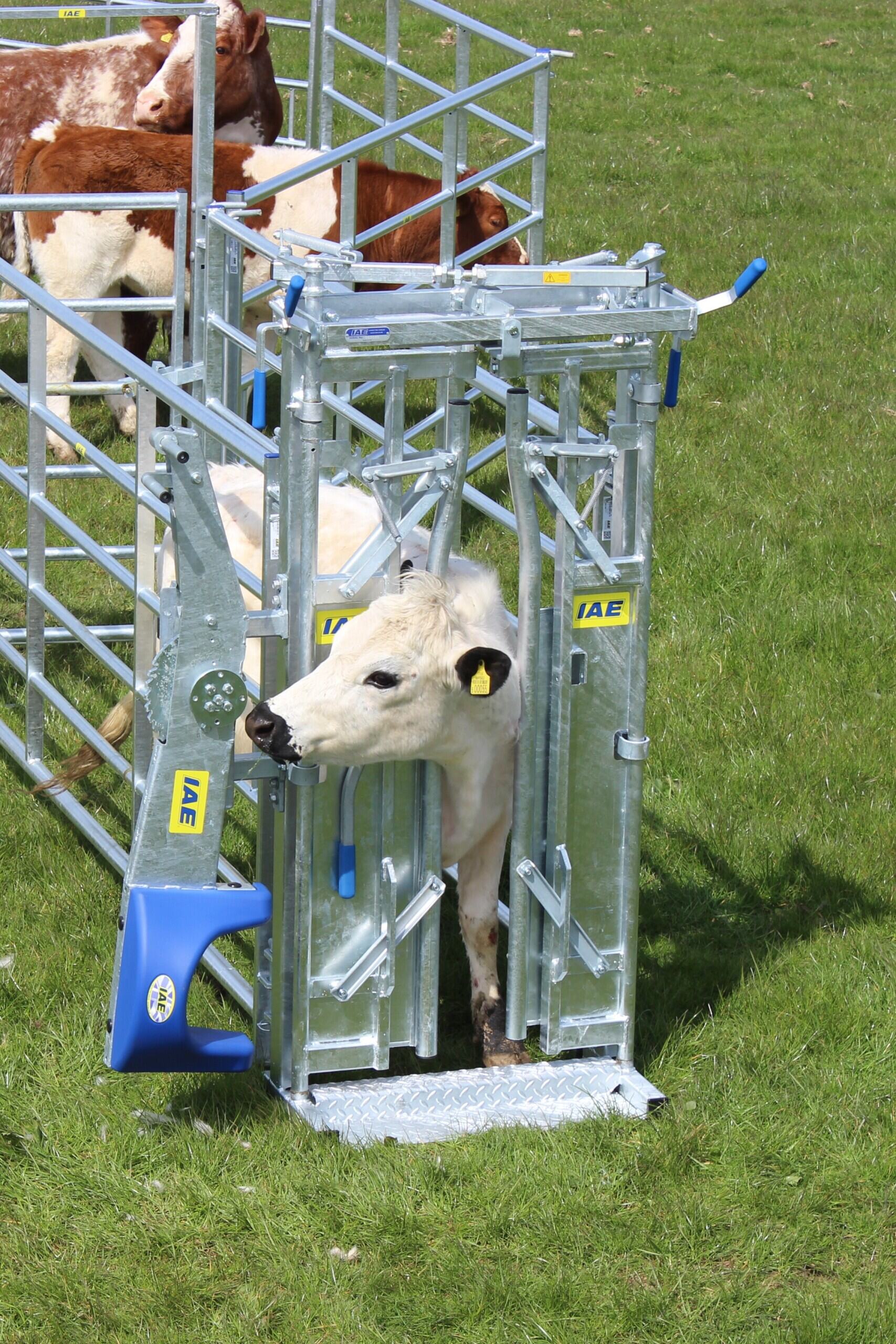 IAE Saracen Yoke Gate In Frame - Image 2
