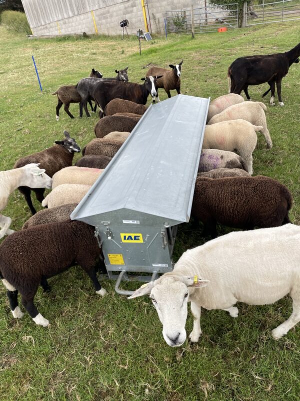 IAE Double Sided Lamb Creep Feeder - Image 6