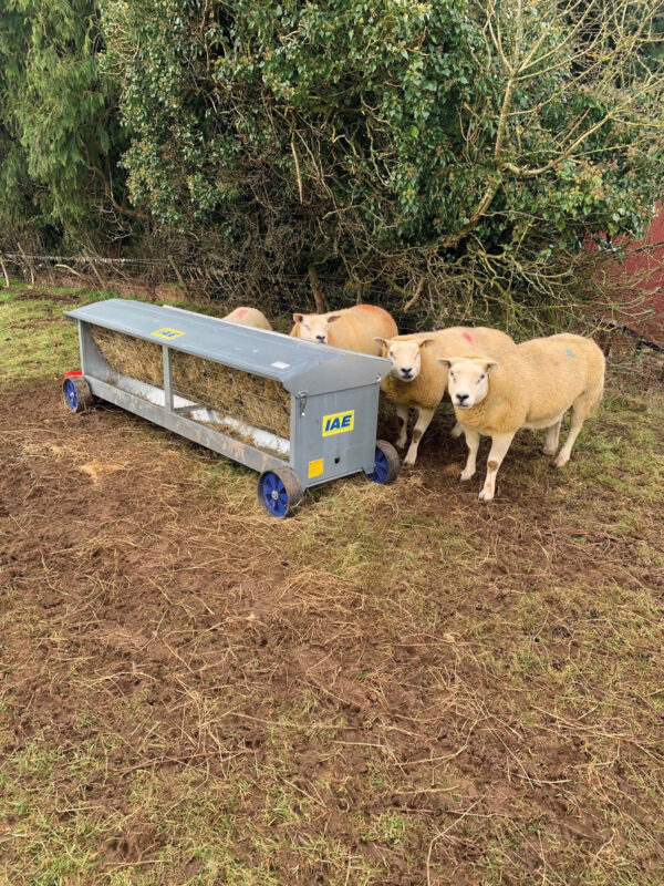 IAE Sheep Hayrack On Wheels - Image 3