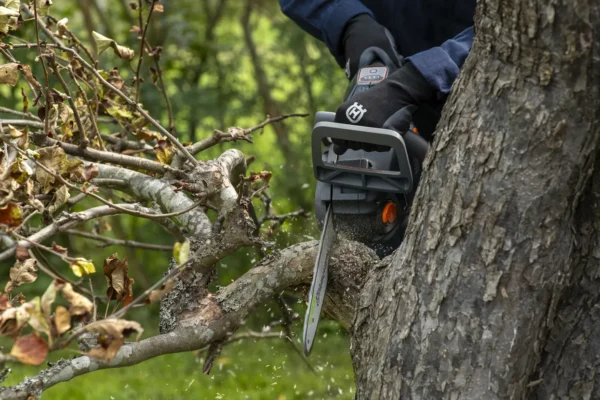 User trimming small branches with the Husqvarna Aspire C15X-P4A2 cordless chainsaw in a garden setting.