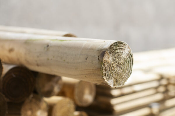 Smooth pressure-treated round timber jump pole with visible end grain detail in outdoor stack
