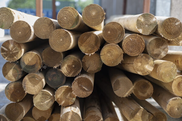 Stacked round timber jump poles with clean-cut ends and pressure-treated finish