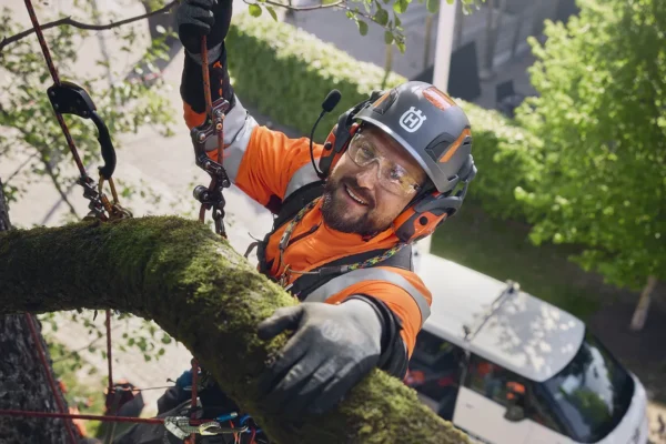 Arborist wearing Husqvarna Spire Vent Helmet climbing tree PPE from R & L Miller Ayrshire Glasgow Dumfries Scotland